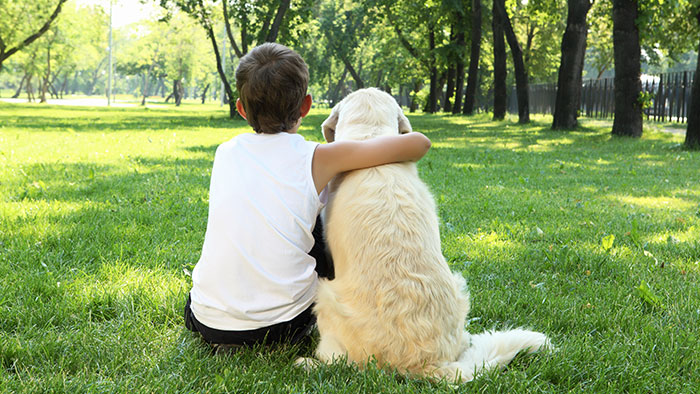 Krankenversicherung für Hund: Wichtiger Schutz für Vierbeiner und Halter | Krankenversicherung für Hund: Wichtiger Schutz für Vierbeiner 