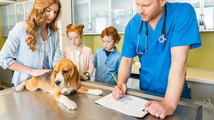 Wahl des Tierarztes – Regelungen bei der Hundekrankenversicherung | Krankenversicherung für Hund: Wichtiger Schutz für Vierbeiner 