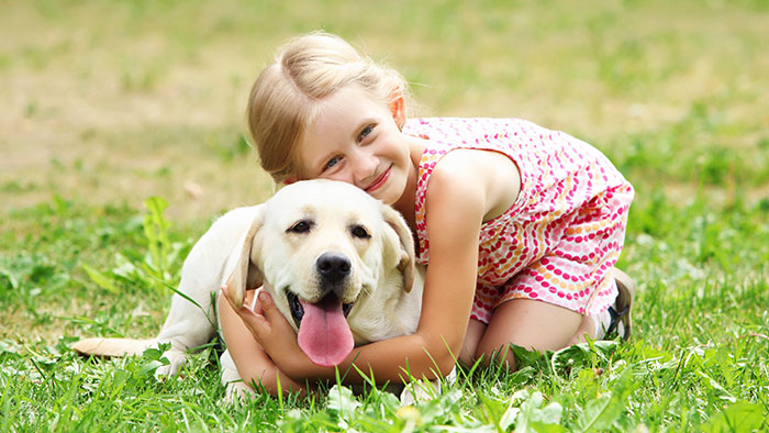 Fazit: Eine gute Hundekrankenversicherung lohnt sich | Krankenversicherung für Hund: Wichtiger Schutz für Vierbeiner 