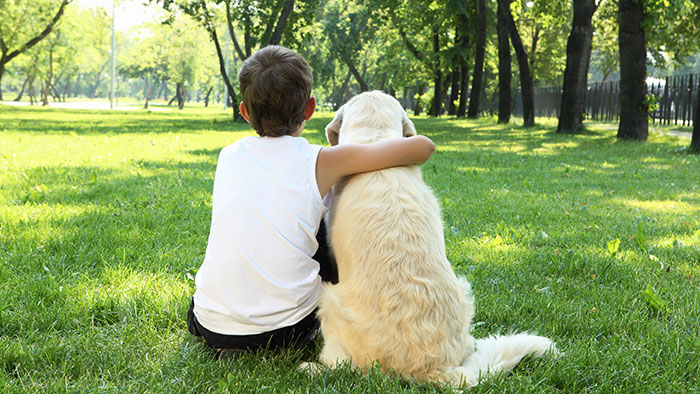 Versicherungen für Tiere: Damit auch der beste Freund des Menschen gut abgesichert ist | Krankenversicherungen für Tiere
