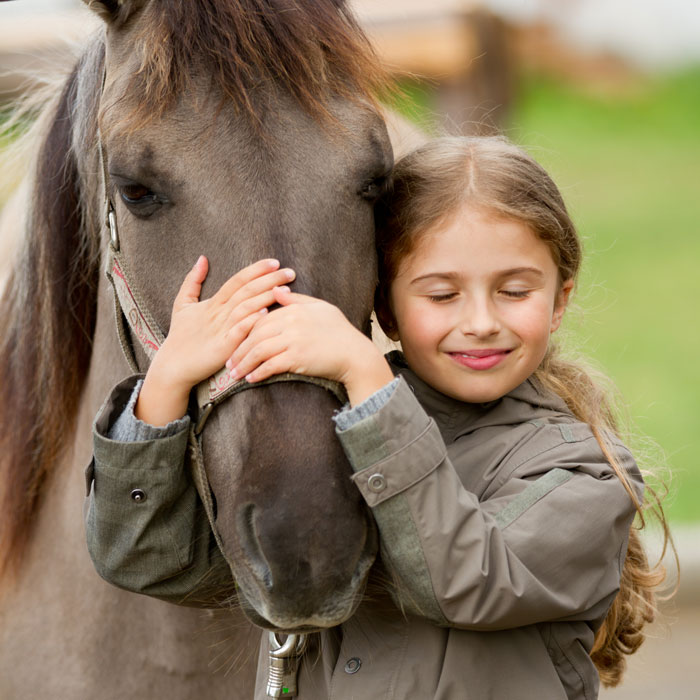 Die Pferde-Lebensversicherung | Krankenversicherungen für Tiere